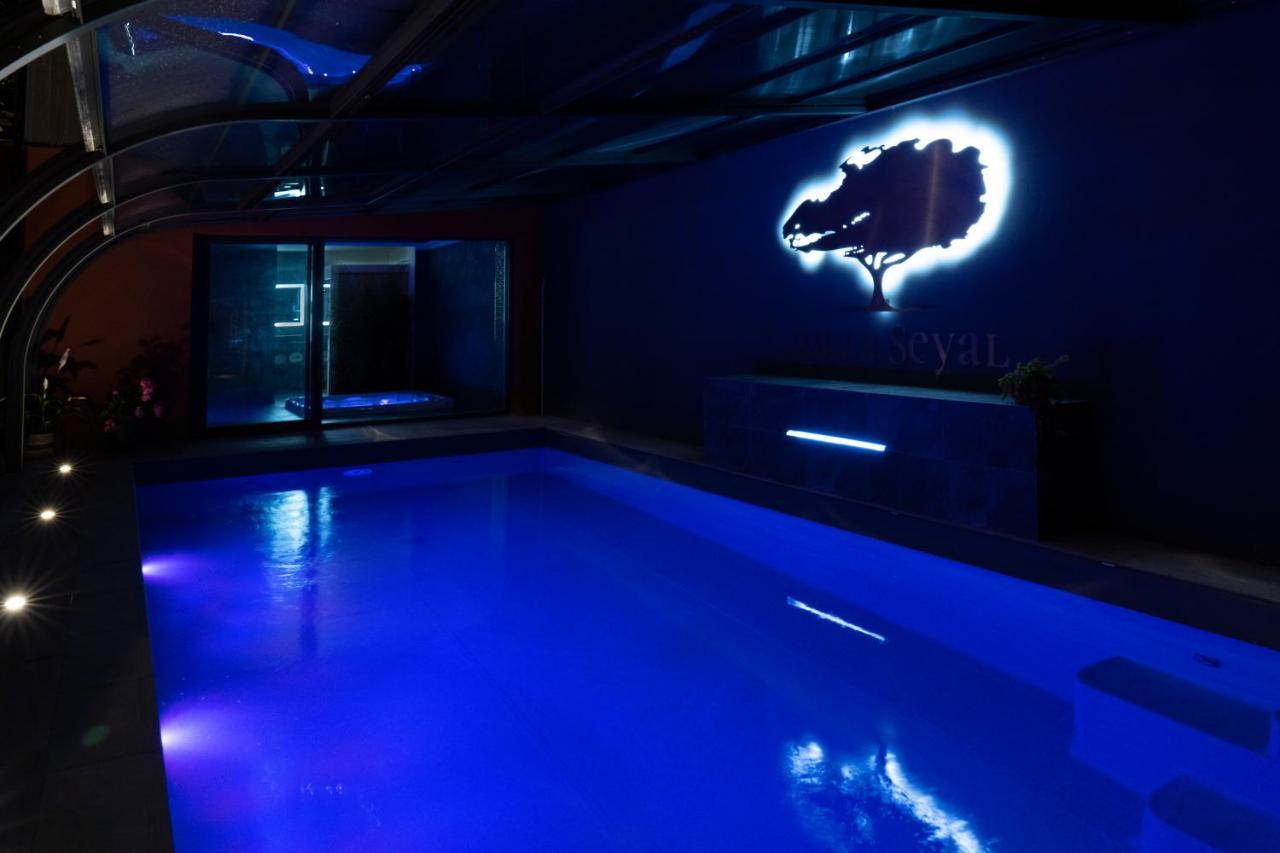 Villa Seyal - Avec Piscine - Jacuzzi - Sauna & Climatisation 勒芒 外观 照片